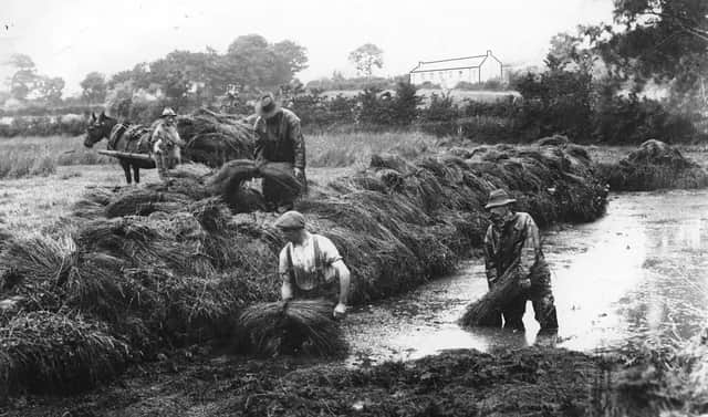 Flax dam at Cloney Farm, Knocknacarry, Co Antrim, circa 1914. Picture: Welch Collection, Ulster Museum