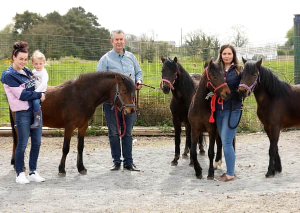 Agriculture Minister Edwin Poots pictured with the four 
Dartmoor Ponies bought by Co Down woman Ashleigh Massey for her daughter's birthday at their farm in Ballygowan. 

Included are Lisa Booth and Ashleigh with her daughter Alia.
Photo by Kelvin Boyes / Press Eye.
