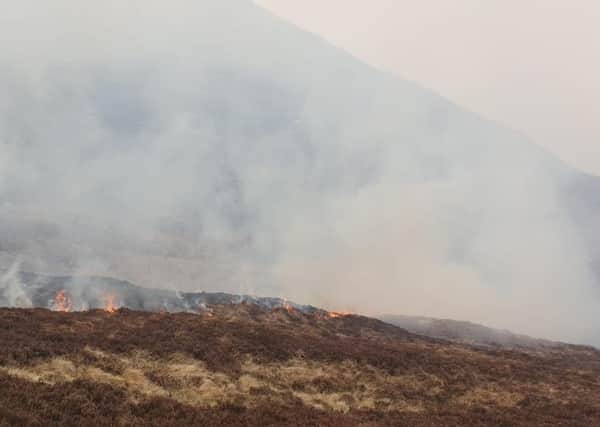 Firefighters have been tackling the blaze in the Mourne Mountains since the early hours of Friday April 23.