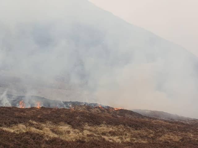Firefighters have been tackling this large blaze near Bloody Bridge in the Mourne Mountains since the early hours of this morning, Friday April 23.