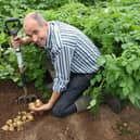 Angus Wilson, the founder and chairman of Wilson’s Country Potatoes
in Craigavon which has won a major award in Scotland