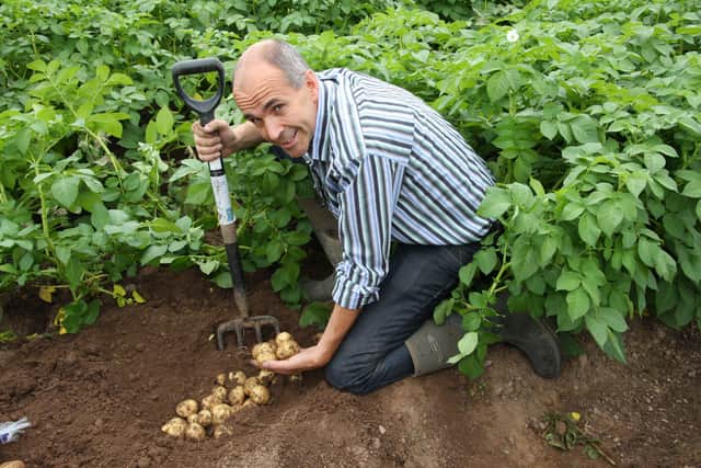Angus Wilson, the founder and chairman of Wilson’s Country Potatoes
in Craigavon which has won a major award in Scotland