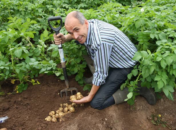 Angus Wilson, the founder and chairman of Wilson’s Country Potatoesin Craigavon which has won a major award in Scotland