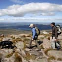 Hiking in the Cairngorm National Park, Aviemore, Scotland.