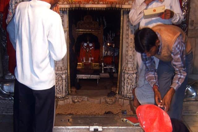 Karni Mata Temple, India: Holy Rats Slightly Below Centre