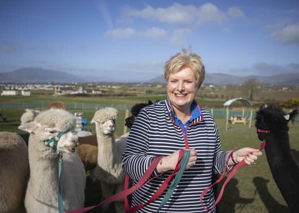 Pamela Houston with her herd of alpacas
