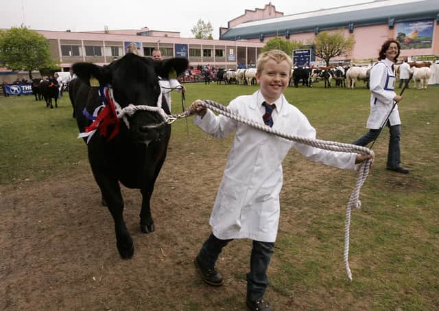 Sam Matchett from Portadown with his winning Aberdeen Agnus at the Balmoral Show in 2010. Picture: Mark Pearce/Presseye.com