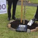 Tom Robinson, a former mayor of Larne, wondered how the government could bring in trees for the NI Centenary despite NI Protocol restrictions.