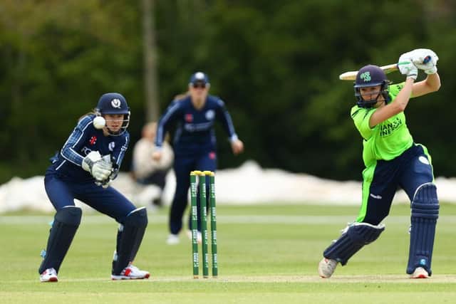 Gaby Lewis bats for Ireland at Stormont.