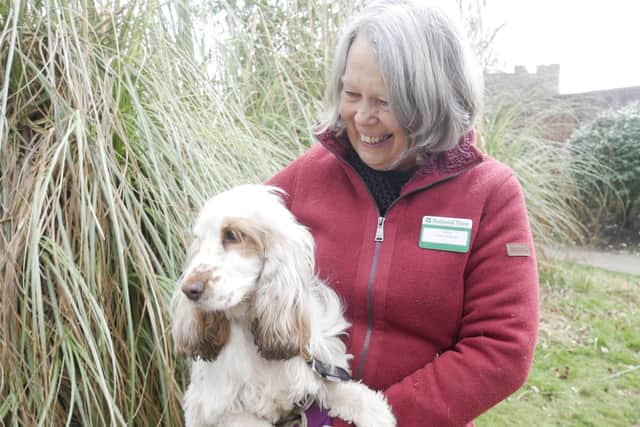 Florence Court and Castle Coole are looking for Dog Ambassadors to volunteer. Picture: National Trust Images