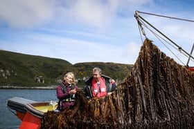 DAERA minister Edwin Poots meets with Kate Burns on Northern Ireland’s first and only commercial seaweed farm. Photo by Kelvin Boyes / Press Eye