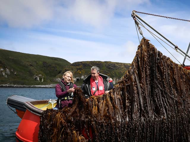DAERA minister Edwin Poots meets with Kate Burns on Northern Ireland’s first and only commercial seaweed farm. 

Photo by Kelvin Boyes / Press Eye