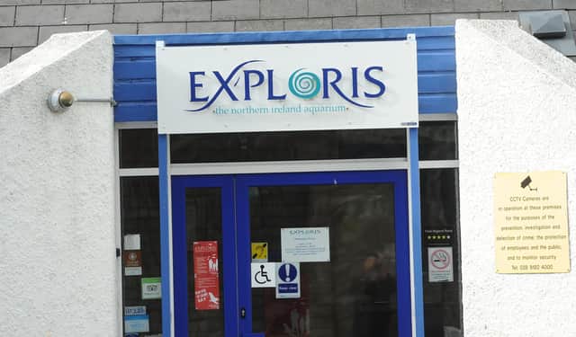 Exploris aquarium in Portaferry