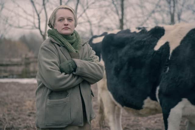 June finds refuge on a farm