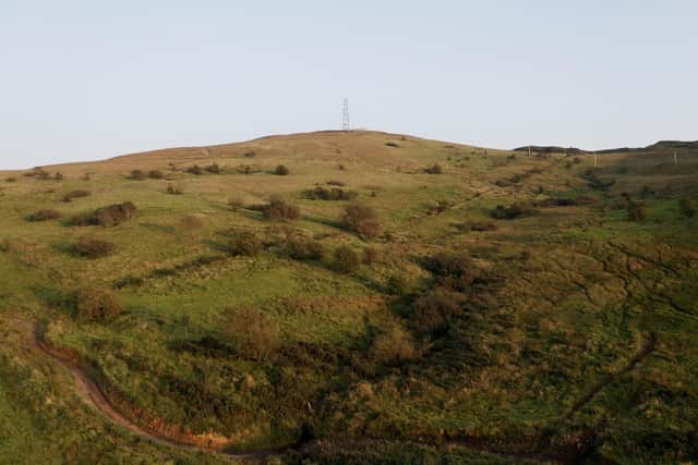 The site in the Belfast Hills
