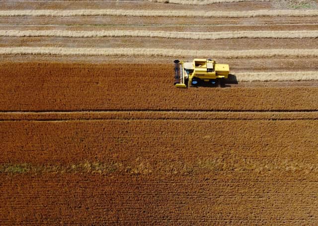 An aeiroal drone picture of a farmer making straw  near Hillsborough on Friday, which was  yet another sweltering day.Picture by Arthur Allison/Pacemaker