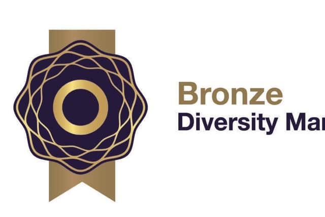 Bronze Diversity Mark by Diversity Mark NI