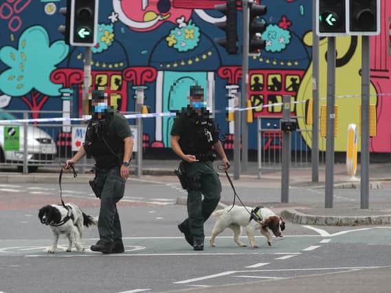 PSNI canine units pictured at the scene this afternoon.