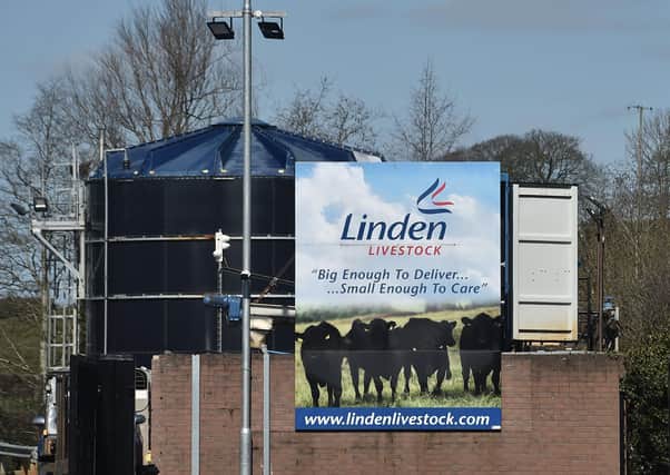 Authorities are investigating the death of a man at Linden Foods in Dungannon. Photo Colm Lenaghan/Pacemaker Press