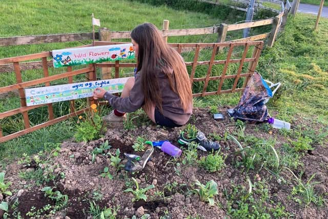 Emer planting wild flowers close to her home