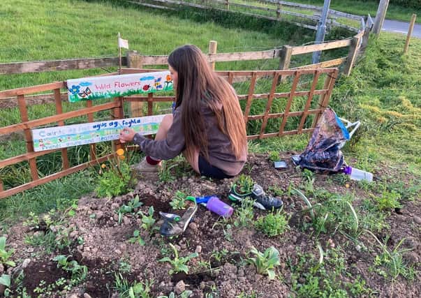 Emer planting wild flowers close to her home