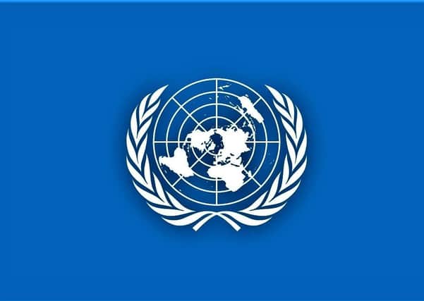 The UN flag