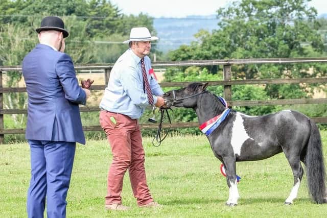 Walter Albert with the champion Miniature Horse 'Dust Me off Dandy' and judge Michael Weston