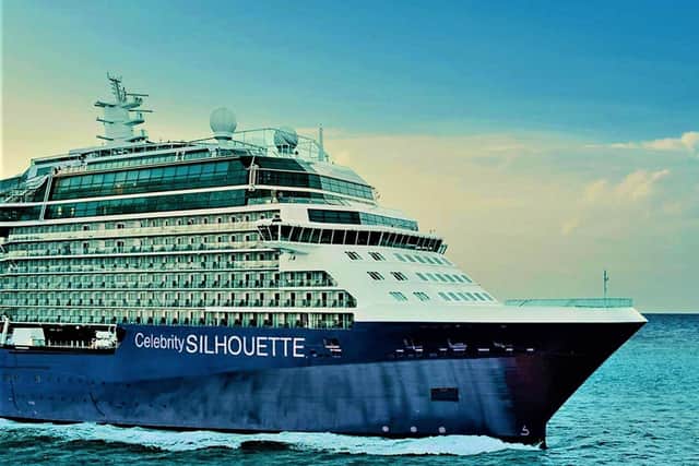 The Celebrity Silhouette