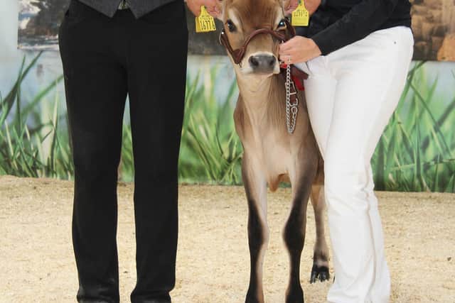 Kristina McKeag exhibited the first prize Jersey calf Potterswalls Victorious Season owned by the Fleming Family, Seaforde. Included is Scottish judge David Gray. Picture: Julie Hazelton