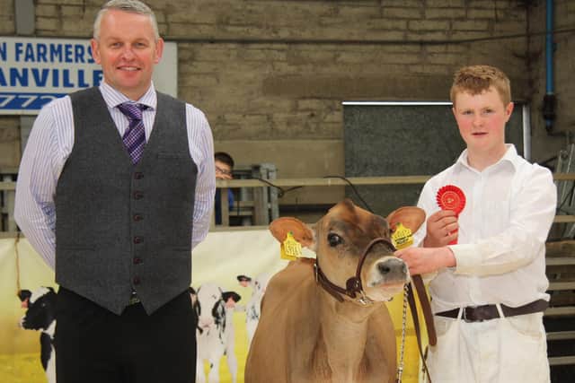 Tom McKnight exhibited the first prize Jersey heifer Damm Video Ruby bred by David Simpson, Lisburn. Included is judge David Gray, Scotland. Picture: Julie Hazelton