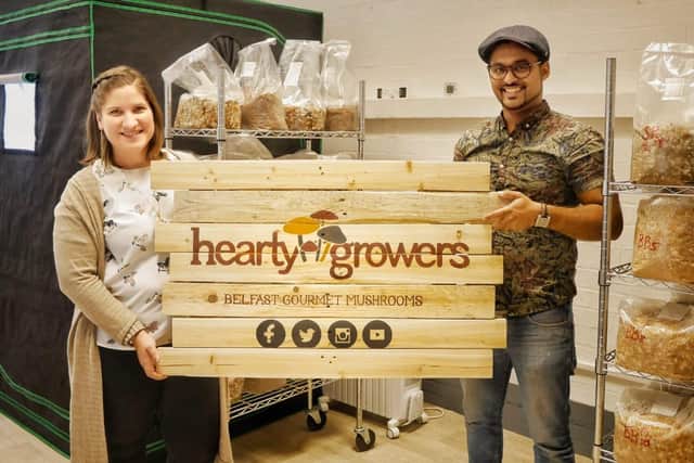 Judit and Terry Vaz of Hearty Growers raising oyster mushrooms in Portview Trade Centre in Belfast