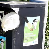 Council is targeting dog fouling hotspots.