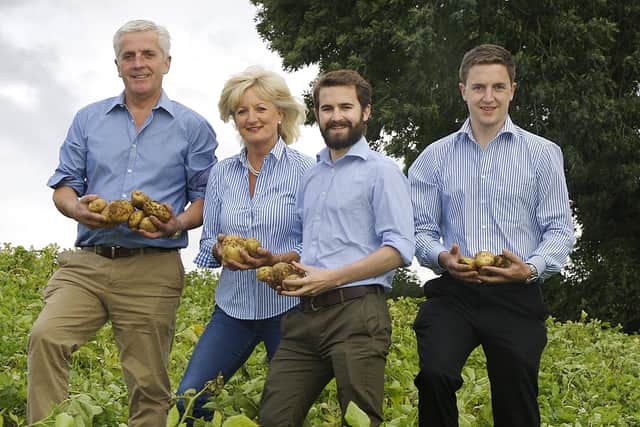 The industry leading Hamilton farm family behind the pioneering Mash Direct in Comber, left, Martin, Tracy, Jack and Lance
Hamilton
