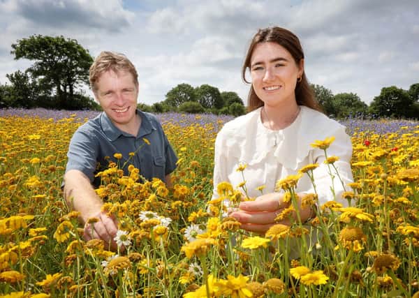 Patrick Croke and Julie Power, of Connecting To Nature, at the company's growing facility in Co Waterford. Birds and bees are the secret weapons needed to raise happiness levels after Covid, the new company has claimed. Photo: Willie Dillon/PA Wire