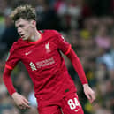 Northern Ireland-born Conor Bradley on his senior debut for Liverpool. Pic by PA.