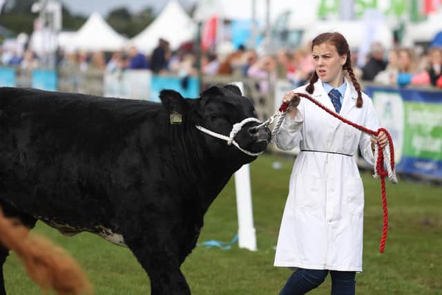 Some of the Young Handlers Class on the final day of Balmoral Show.

Picture: Philip Magowan/PressEye