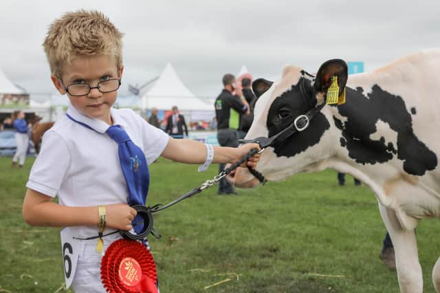 Cody Paul from Maghera, shows off Coda during the Young Handlers Class on the final day of Balmoral Show.

Picture: Philip Magowan/PressEye