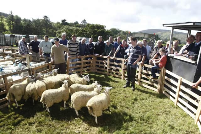 The selling is well underway at the show and sale at Cushendun in September 2012