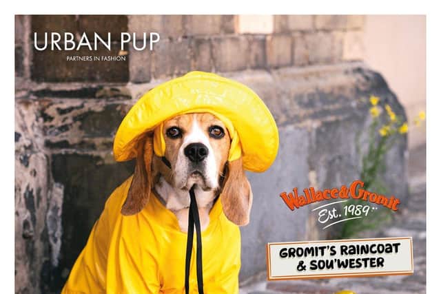 Pictured is ‘Gromit’ look-a-like who is modelling the sou’wester and raincoat from The Wrong Trousers