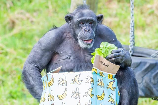 Lovely Lizzie celebrated her 50th birthday by unwrapping her presents with the rest of her troop on Wednesday