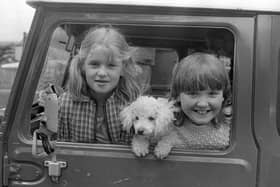 Susan Miller of Co Meath and Pennie Martin of Newtownards with Sukie the Poodle watching the competitions at the Ulster Pony Society Show at Balmoral, Belfast, in July 1982. Picture: News Letter archives