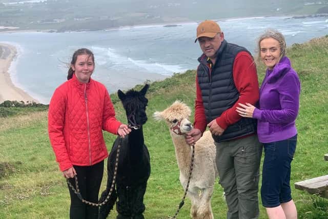 My family - with our trusty alpacas - admiring the amazing view at Malin Head