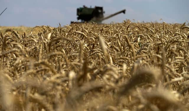 A combine harvester collecting wheat near Novoazovsk outside Mariupol, amid the ongoing Russian military action in Ukraine. Grain ships have started leaving the war-torn country, providing a valuable boost to global food supplies