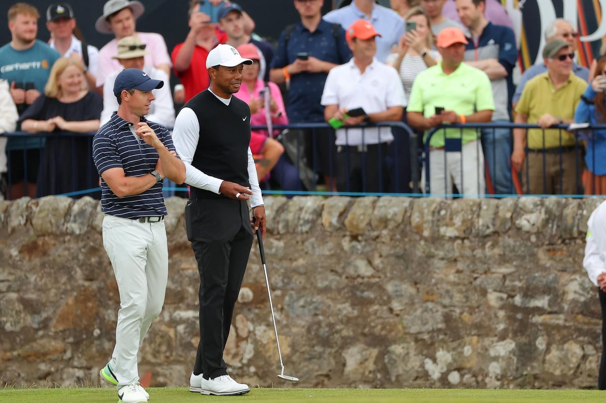 Tiger Woods and Rory McIlroy launch company to bring 'more access to sports'