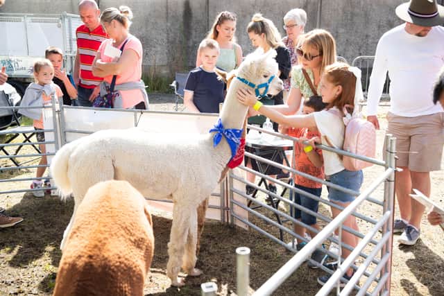 The Ould Lammas Fair has made a welcome return to Ballycastle this year running from Saturday August 27 - Tuesday August 30.