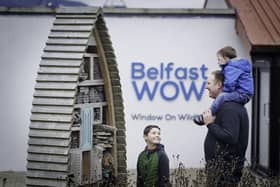 Admire the natural world at Belfast's Window on Wildlife
