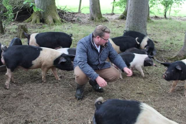 Alastair Crown of Corndale Farm Free Range Charcuterie in Limavady is in line for a Great Taste Award Golden Fork for his pork chorizo from his own pigs
