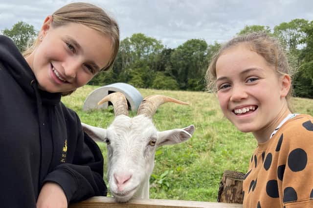 Marie and Ava (l and r) meet the three Saanen Swiss milking goats kept at the Cwmberach Uchaf Farm