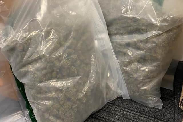 The cannabis with a street value of £30k seized by the PSNI in an operation against the UVF.