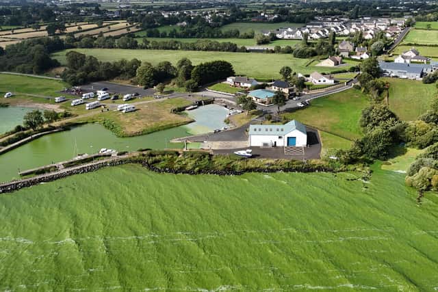 Blue-green algae at Battery Harbour on Lough Neagh near Cookstown in Co Tyrone. Picture date: Monday August 25, 2025. PA photo. Niall Carson.